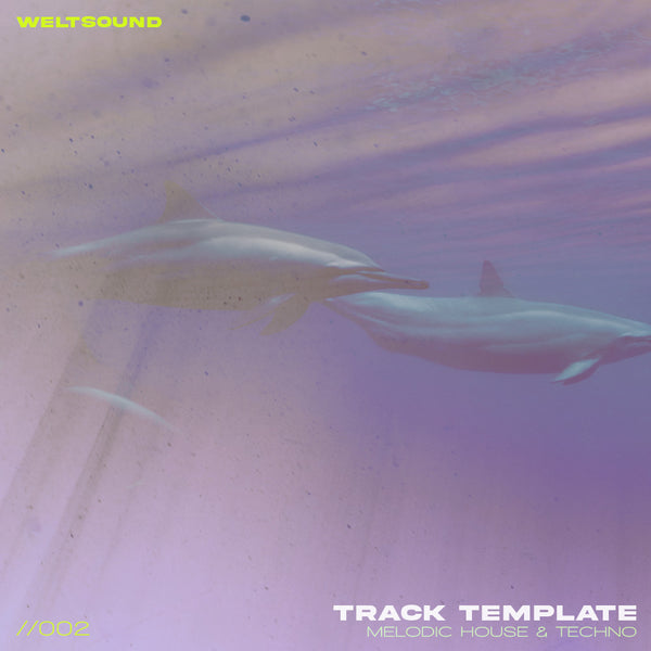 Melodic House & Techno Track Template Vol.2